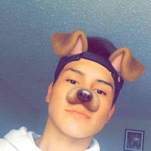 Meet your Posher, Ellis